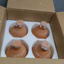 4 Pcs Watering Pots Large Terracotta Watering Pots with Lid 34 oz Terra Cotta Self Watering Pots Water Dripper Automatic Plant Irrigation Devices System for Indoor Outdoor Plants