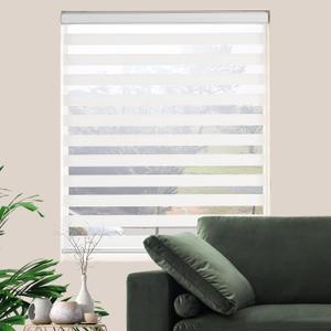 Zebra Roller Shades, Dual Layer Roll Up Blind for Living Room, Semi Sheer Shades Window Privacy Light Control for Day and Night, (Maximum Height 72inch, White Color, Width 33 inch)