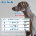 Mayerzon Martingale Collar for Dogs, No Pull Dog Collar with Reflective Strip for  Dogs, Anti Pulling Dog Collar with Buckle for Walking Training, Safe for Night Walk (Black, S)