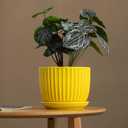 Ton Sin Ceramic Flower Pots,Yellow Plant Pots for Indoor Plants,4.1+5.1+6.5 inch Ceramic Plant Pots with Tray,Medium Indoor Planters for Aloe Cactus Decorative Pots with Drainage Hole (Set of 3)