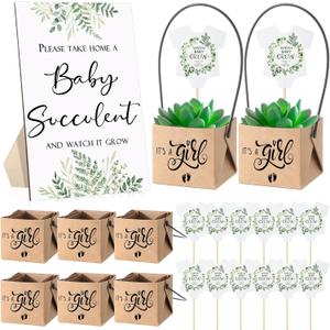 Geetery 101 Pcs Succulent Baby Shower Party Favor 1 Wooden Table Sign 50 Tags and 50 Kraft Succulent Pots for Guest Baby Shower Favors Gifts(Girl)