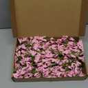 2 Pack 71 Inch Artificial Forsythia Branches Faux Flower Vine Garland Forsythia Flower Hanging Wreath Floral DIY Decoration for Front Door Home Indoor Spring Wedding Easter Decor (Pink)