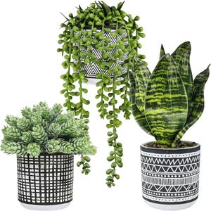 Winlyn 3 Pcs Small Potted Plants Artificial Succulents Hanging Plants and Faux Tropical Snake Plant in Black Geometric Pots for Modern Home Kitchen Windowsill Table Shelf Indoor Outdoor Greenery Decor. 1 Vase Is Broken