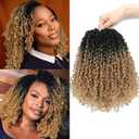 Aksice 10 Inch Pre-Looped Yanky Twist Crochet Hair 8 Packs 30 Strands Pre-twisted Passion Twist Crochet Braids Hair With Curly Crochet Hair Senegalese Twist Braids (1B/27#)