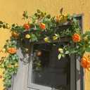 5.9FT Bendable Rose Flower Garlands, Artificial Silk Wild Roses Vine Hanging Flowers for Wall Fireplace Fence Trellis Wedding Baby Shower Home Spring Decor (Orange,2PC)