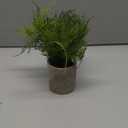 Small Fake Plant Potted Plants Artificial Decor Silk Ferns Plant Faux Plants in Pots for Home Living Room Bedroom Desk Bathroom Window Shelf Farmhouse Decoration (1 Pack - Style 3)