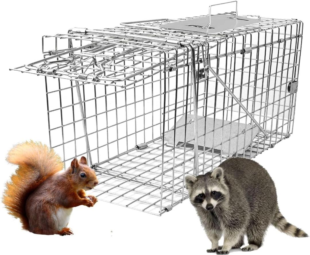 Live Animal Cage Trap, 31" x 11" x 12" Heavy Duty Folding Raccoon Traps, Humane Cat Trap for Stray Cats, Raccoons, Squirrel, Skunk, Mole, Groundhog, Armadillo, Rabbit (24" x 7" x 8")
