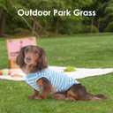 3 Pack Blue Striped T Shirts for Small Dogs,Lightweight Sleeveless Tee Set for Spring&Summer Keep Body Heat After Exercise,Breathable Plain Dog Shirt for Party,Shih Tzu(Blue,S)