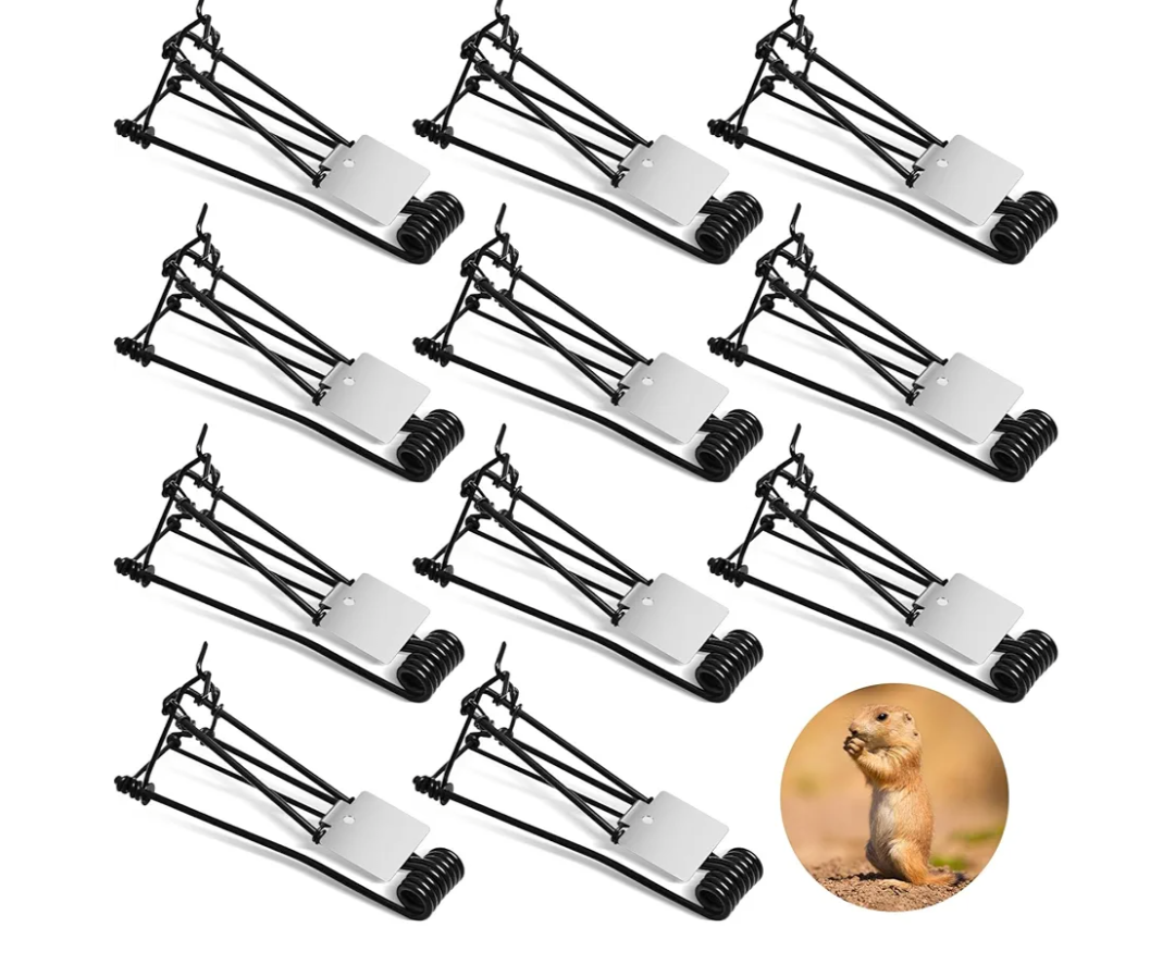 Qualirey 12 Pcs Outdoor Gopher Trap Easy Set Mole Trap Weather Resistant Gopher Killer Vole Killer for Lawn Garden Farm (Black)