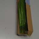 10PCS Fake Grass Filler Decor Artificial Grass Plants Outdoor Faux Plants Artificial Tall Shrubs Wheat Grass Greenery Stems UV Resistant Onion Grss For Outdoor Indoor Vase Planters Home Decor, Green