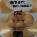 Series I - 12 Egg Incubator for Beginners, Auto Egg Turn, Steady Self-Regulating Humidity & Consistent Temperature Control for Hatching Chicken, Goose, Duck, Quail, Pigeon, and Turkeys