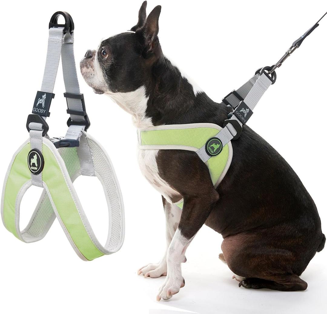 Gooby Simple Step in III Harness - Green, X-Small - Small Dog Harness with Scratch Resistant Outer Vest - Soft Inner Mesh Harness for Small, Medium Dogs (X-Small chest (1214.75"))