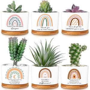 Sieral 6 Pcs Thank You Appreciation Gift Friends Succulent Pots Mini Ceramic Plant Pot with Bamboo Tray Succulent Planter for Coworker Employee Teacher, Valentine's Gift, Plants Excluded (Boho Style)