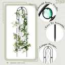 2 Pack 4' H x 10" W Metal Arched Garden Trellis for Potted Climbing Plants Outdoor Rustic Black Coating Iron Wire Lattices Grid Panels for Vine Pergola Cucumbers Vegetables Flower Support, 47.64 H x 10 W inches