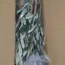 Tall Faux Olive Tree6Ft(72in) Realistic Texture Potted Silk Artificial Olive Tree Fake Olive Trees Indoor Outdoor for Home Office Living Room Bedroom Foyer Porch Decor.