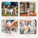 Washable Reusable Female Dog Diapers(5 Pack) Small Medium Large Doggie Puppy & Doggy Dog Diaper, Period Panties in Heat Medium Pink Purple Brown Green Blue