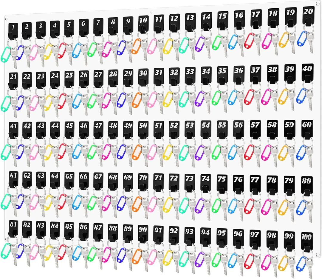 Beeveer Acrylic Key Board with 100 No. Hooks Wall Mount Key Rack Holder Hanger Storage Collection for School, Garage, Car Dealer, Office, Hotel, Real Estate(Transparent)