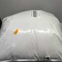 Large Teddy Pet Bed Forest 36 in. x 27 in.