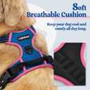 rabbitgoo Dog Harness No Pull with 2 Leash Clips, Adjustable Soft Padded, Reflective Oxford No Choke Pet Vest with Easy Control Handle for Large Dogs, Blue & Hot Pink, M
