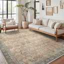 8X10 Area Rugs Machine Washable Rugs for Living Room, Vintage Boho Large Rugs for Bedroom Dining Room, Non Slip Indoor Soft Distressed Lightweight Thin Low Pile Carpet, Cinnamon