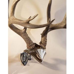 Skull Hooker Bone Bracket European Trophy Mount with Skull Cap Included  Perfect Kit for Hanging and Mounting Capped Skulls for Display, Graphite Black, One Size (SKH-BB-SC-Assy)