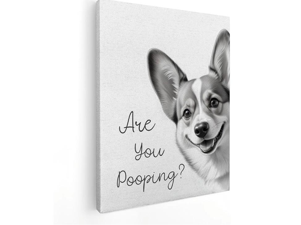 QICLM Funny Corgi Wall Art, are You Pooping Dog Funny Bathroom Canvas Wall Art Poster for Restroom Toilet, Beautiful Corgi Bathroom Wall Art Decor, 11x14 Inch Framed