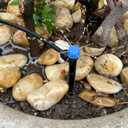 50PCS Drip Irrigation Emitters, Kalolary Adjustable 360 Degree Water Flow Drippers Emitters for 1/4" Drip Irrigation System Tubing, Garden Irrigation Drippers for House Garden Flower beds(Blue)