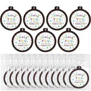 12 Pack Employee Appreciation Administrative Day Gifts Thank You Fraser Cedar Hanging Ornaments Fir Scented Paper Fragrant Tablets Hanging Decor for Staff Coworker Nurses Thank You Gifts