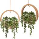 Hobyhoon Artificial Hanging Plants Hanging Planter Fake Succulents Artificial String of Pearls with Pot and Lanyard for Home Office Wall Decoration 1 Pcs