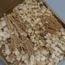 50Pcs Mini Dried Baby's Breath Flowers, 6'' Natural Ivory White Flowers for Resin Art Craft DIY, 3000+ Pressed Gypsophila Bouquet Present for Valentine's Day, Wedding Wreath, Card Making, Home Decor