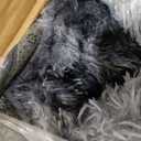 9x12 Extra Large Fluffy Area Rugs for Living Room Tie-Dyed Dark Grey
Non-Slip, Shaggy, High Pile, Ultra Soft, Fuzzy, Bedroom, Dorm Room, Nursery, Kids, Playroom, Indoor, Carpet, Home Decor