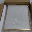 Treela 6 Pcs Pressed Flower Glass Picture Frame Gifts 8 x 10 Inch Christmas Brass Hanging Double Glass Gold Floating Photo Clear Horizontal Vertical with Chain for Gallery Vintage Artwork Display