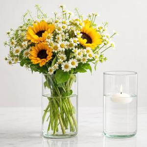 Sandraheer 12-Pack Glass Cylinder Vases, 6" Tall Clear Bud Vases for Weddings, Hurricane Candle Holders & Table Centerpieces