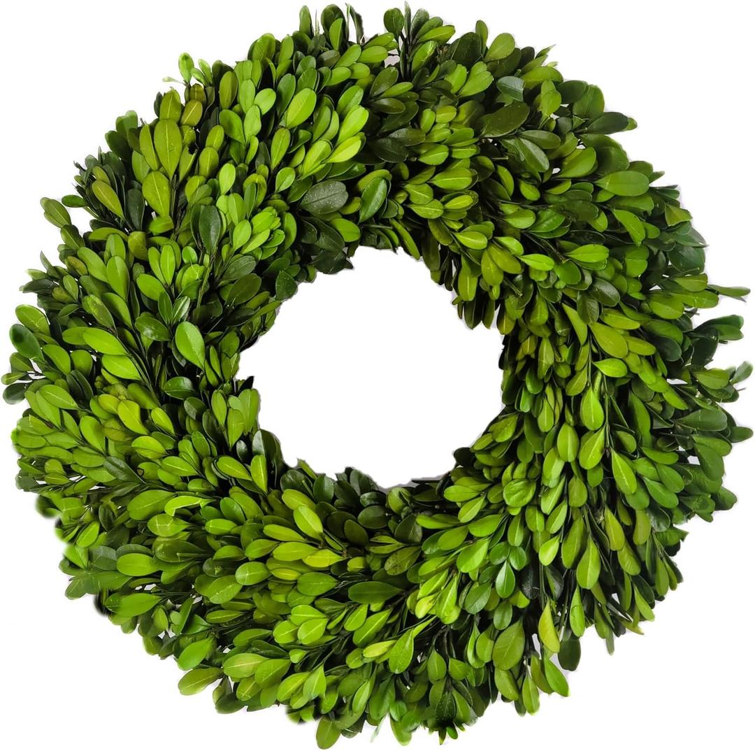 Preserved Boxwood Wreath 12 in by Tradingsmith