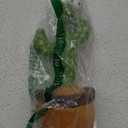 Dancing Cactus Talking Toy,Wriggle Singing Mimicking Cactus,Repeat What You Say,Sing,Dance,Recording,LED(120 Songs)