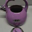 Tea Kettle for Stovetop, Food Grade Stainless Steel Water Kettle, Tea Pot for Home & Kitchen, 3.1 Quart (Purple)
