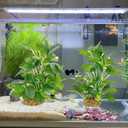 Silk Aquarium Plants (2-Pack) 9.8 Inch Artificial Plastic Fish Fish Habitat Decor, Small to Moderate Size Aquarium Decorations, Safe Green Plants for Freshwater Tanks