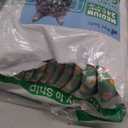 Pet Soft Disposable Cat Diapers - Diaper for Female & Male Cats, Puppy Doggie Diapers for Female Dogs with Adjustable Foam Tail Hole, Medium (24Pcs, GN Flowers)