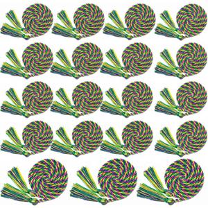 Riakrum 24 Pieces Graduation Cords Bulk 2026 Graduation Polyester Yarn Honor Cords 67 Inch Braided Honor Ropes with Tassels for College Students (Purple,Yellow and Green)