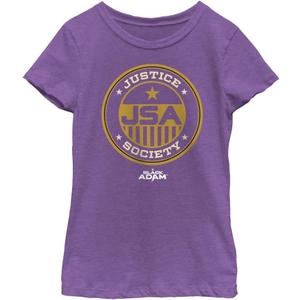 DC Comics Black Adam Justice Society of America Girls Short Sleeve Tee Shirt (X-Small, Purple Berry)