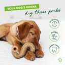 Benebone Tripe Bone Durable Dog Chew Toy for Aggressive Chewers, REAL Beef, Made in USA, Medium