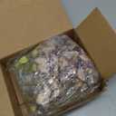 Artificial White Orichid Artificial Flowers in Clear Glass WaterFilled Vase  Silk Fake Plants Table Centerpiece for Home, Shelf, Office & Dining Decor, MaintenanceFree (White Coffee)