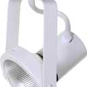PAR30 Gimbal Ring Line Voltage Track Lighting Head White