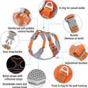 Plutus Pet No Pull Dog Harness, Release at Neck, Reflective Adjustable Dog Vest Harness, Easy Control Handle for Walking, for Small Medium Large Dogs, Orange, M