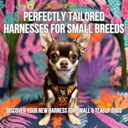 EcoBark Step in Dog Harness - Eco-Friendly Teacup Dog Harnesses for Small Dogs - Reflective and Adjustable Mini Body Halter Vest -Tiny Soft Mesh Harness Under 5 lbs (Leopard, XXXS)