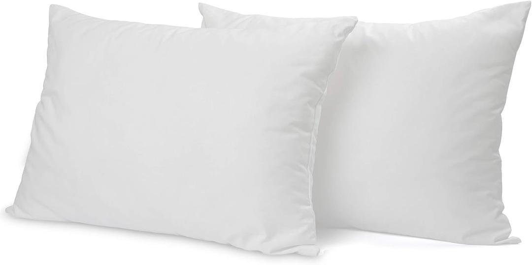 2 White Pillows