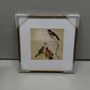 8x8 Picture Frame, Brass Metal Square Photo Frames with HD Glass, Fits 5x5 with Mat or 8 x 8 without Mat, Display for Wall and Table, 1 Pack