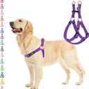 PUPTECK No Pull Dog Harness Soft Adjustable Basic Nylon Step in Puppy Vest Outdoor Walking with ID Tag Medium (Purple)