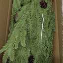 Watayo 10 Pcs Christmas Norfolk Pine Branches with Pine Cones, 19" Extra Length Fake Greenery Norfolk Pine Stems Sprigs, Artificial Xmas Branches Plants Pine Leaves for DIY Craft Garland Home Decor