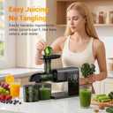 Cold Press Juicer Machines, Slow Masticating Juicers with LED Smart Touch Screen, Professional Extractor for Leafy Greens, Kale & Fibrous Vegetables, 2 Modes & Reverse, BPA-Free